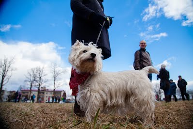 https://goo.gl/photos/hTgenh4Cqh9JdLoM6
